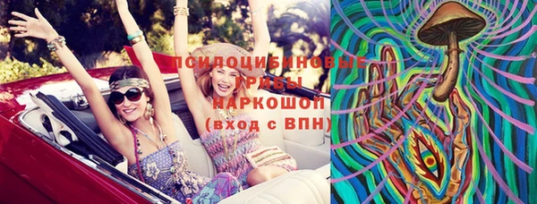 дживик Касимов