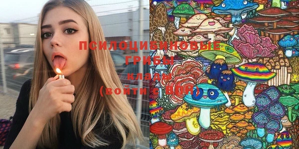 прущая мука Каменногорск