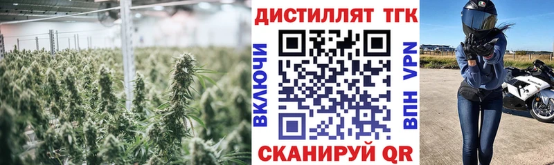 наркотики  кракен сайт  ТГК гашишное масло  Кириллов 